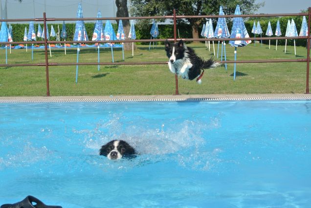 tuffi in piscina