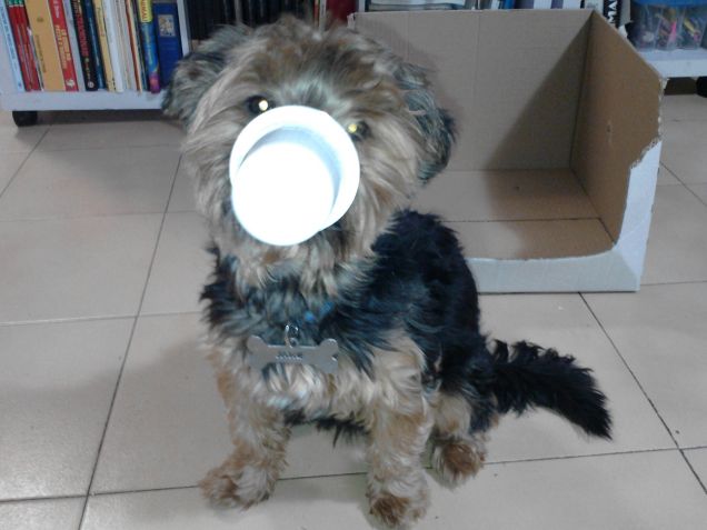 Io sono Jacky e mi piace lo yogurt!!