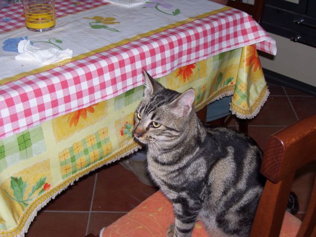 Ma quando si mangia io ho fame...