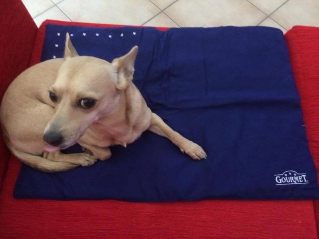 Bijou e la sua nuova copertina