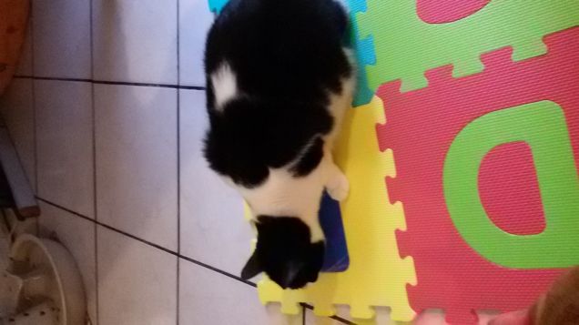 vediamo che cos'è...