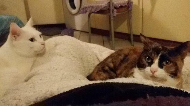 non ti avvicinare troppo però...