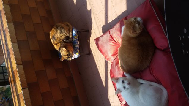 mentre io lavo i vetri...