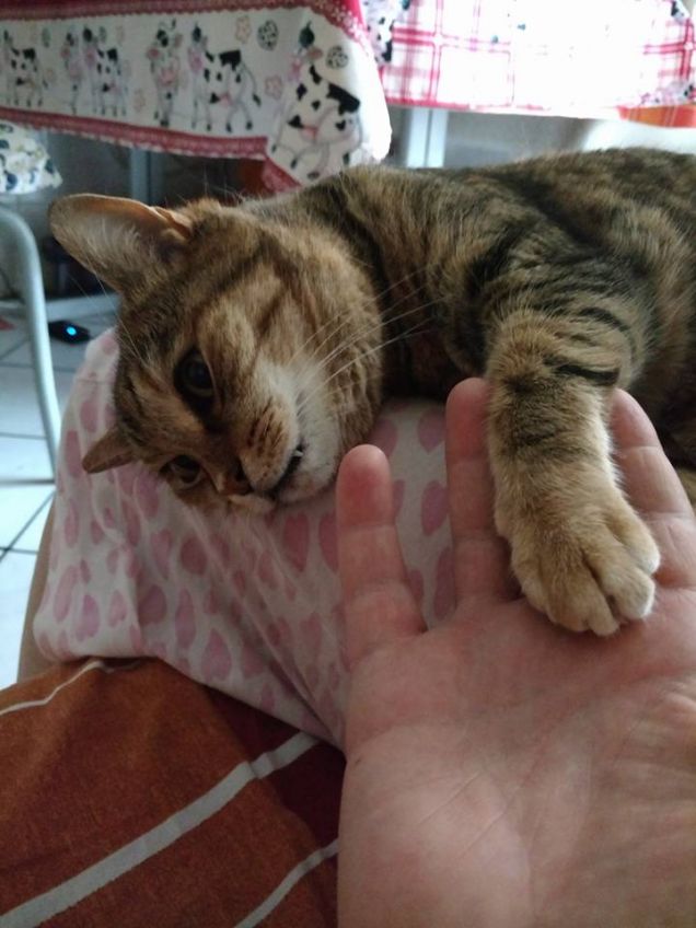 mano nella mano con la mamma