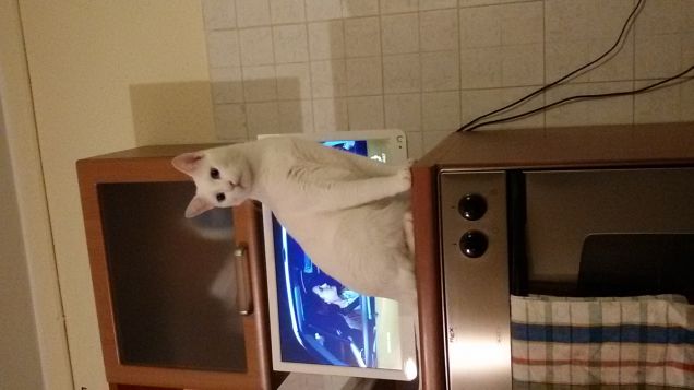 guarda me, non la tv!!