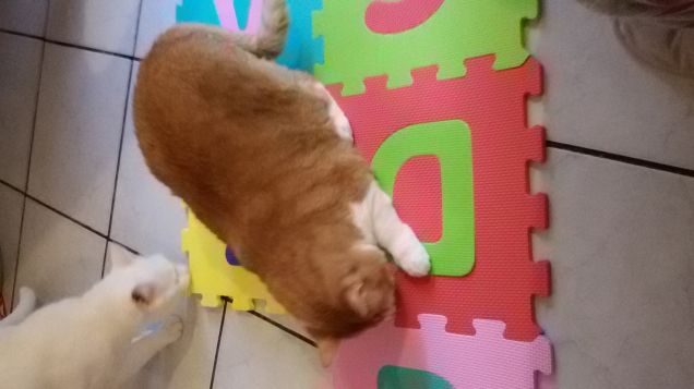 impariamo le lettere 