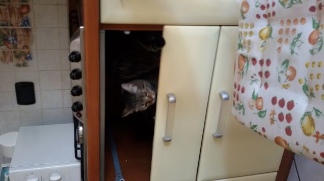 controllo le pulizie