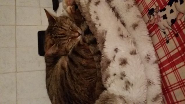 su due guanciali :-)