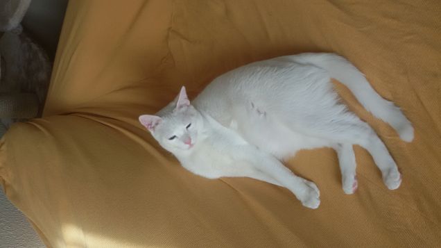 ma sono ingrassato??