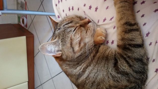 in braccio alla mamma