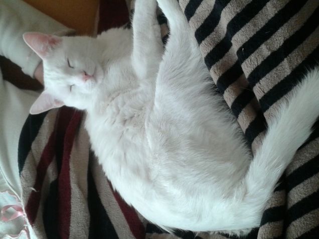 facciamoci una bella dormita