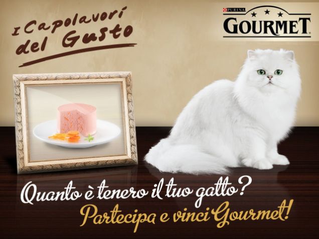 Quanto Ã¨ tenero il tuo gatto