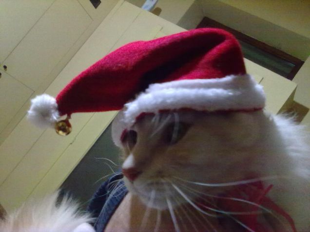 Merry Xmas da Miele!