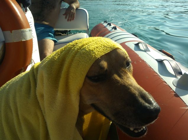 vacanze a 4 zampe :)