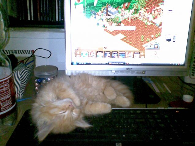 Basta Farmville!