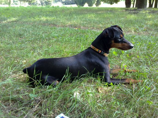 Eros al parco 3