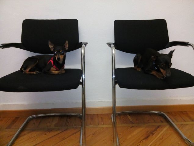 Eros e Pepito in banca