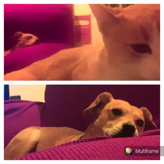 Fratelli.... o quasi