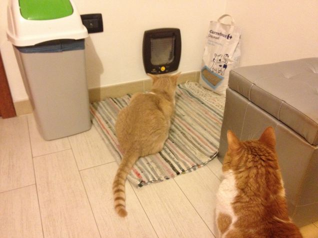 Ma Nerone non rientra ancora?