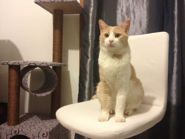 Modestamente sono Jerry  :))