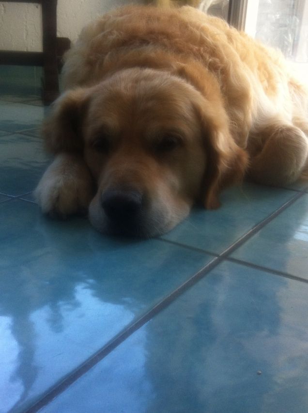 Perchè non mi calcoli?