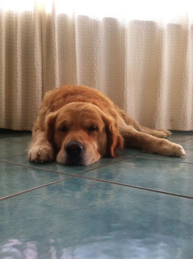 nuotando sul pavimento