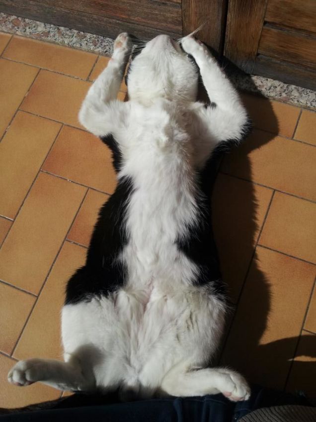 Amo rilassarmi al sole!!!