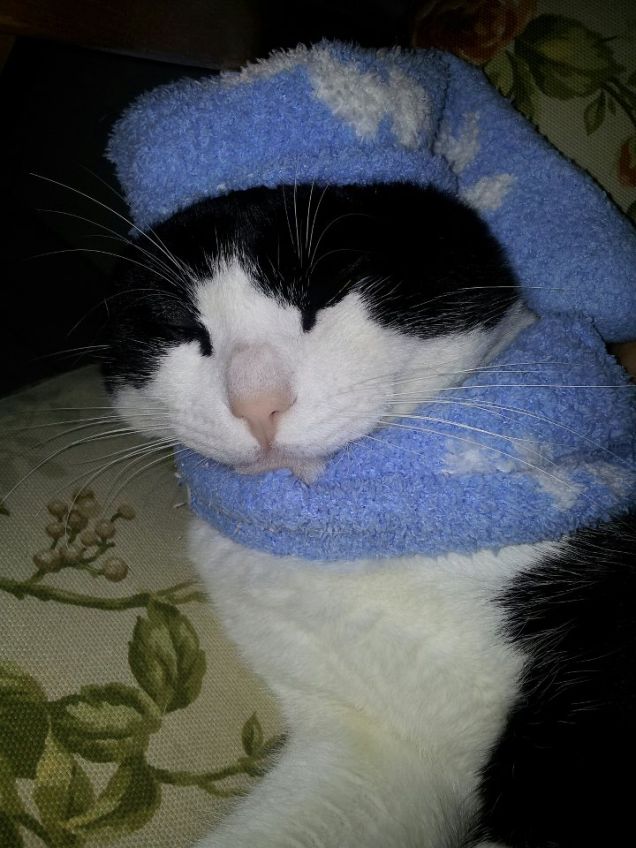 Eh si fa' proprio freddo!!!