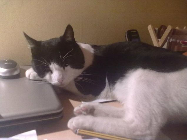 Comodo anche il pc per dormire un po'.