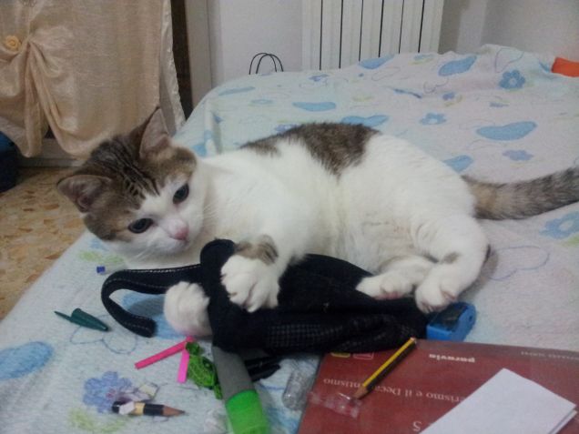 Il portacolori è mio!!!!