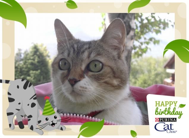 A spasso nella borsa