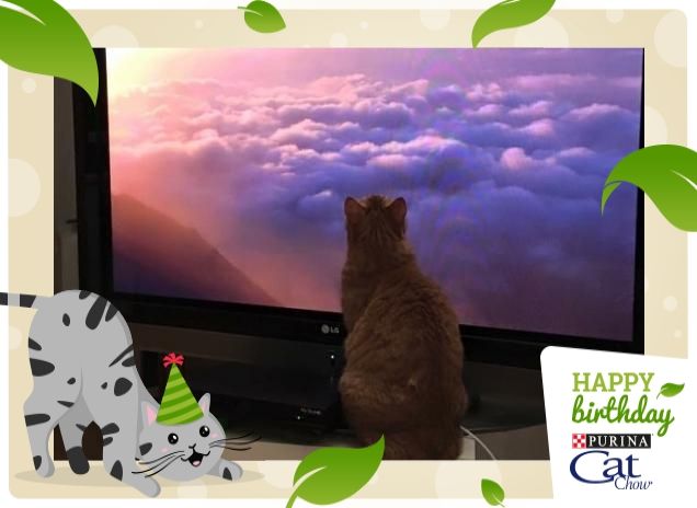 Ernesto e le nuvole ..