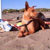 Laika in tutto il suo splendore!!♡