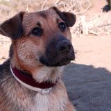 Zeus un pasticcione tutto da amare ♡