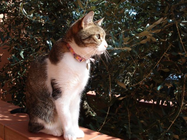 Minù all'aria aperta