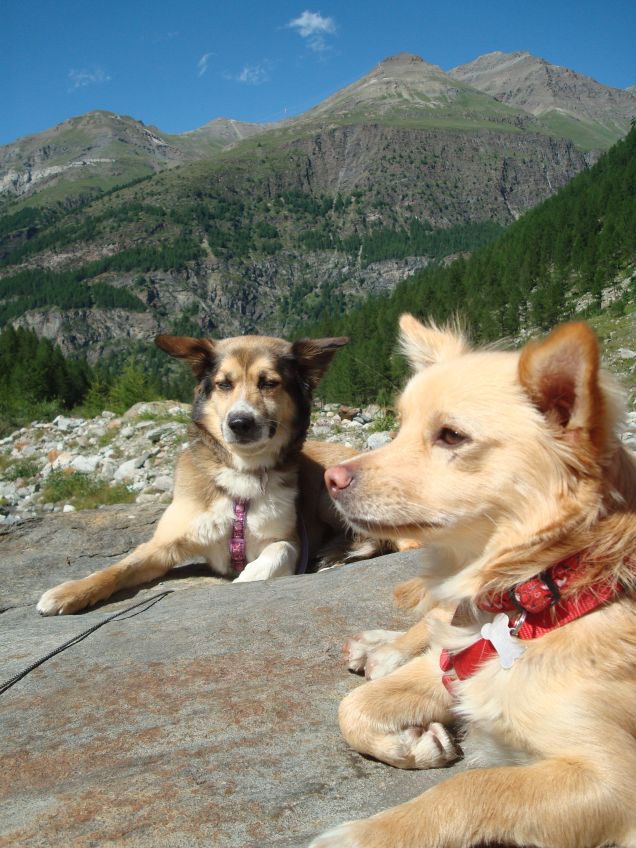 pimpa e zoe in montagna