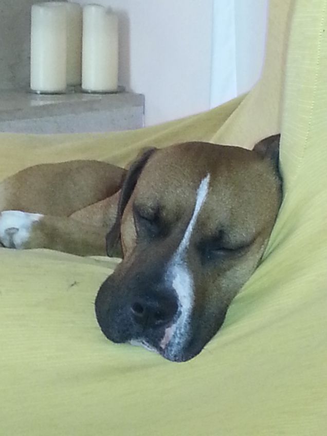 il riposo del gueriero