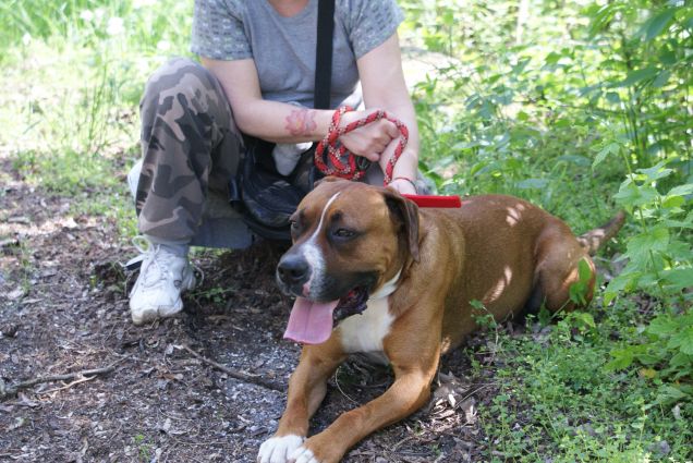 raro momento di riposo per gimmi e per tutti noi.