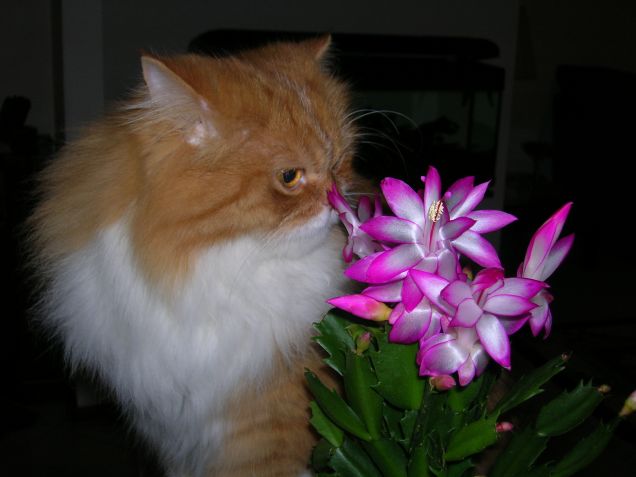 Che profumo!!!!!!!!!!!!!