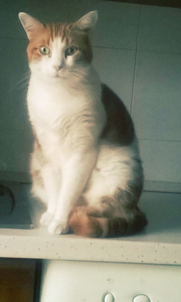 Duffy all'età di quasi 11 anni