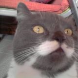 GEPPY ONE