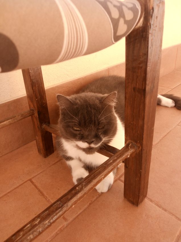 Un cuscino un po' scomodo