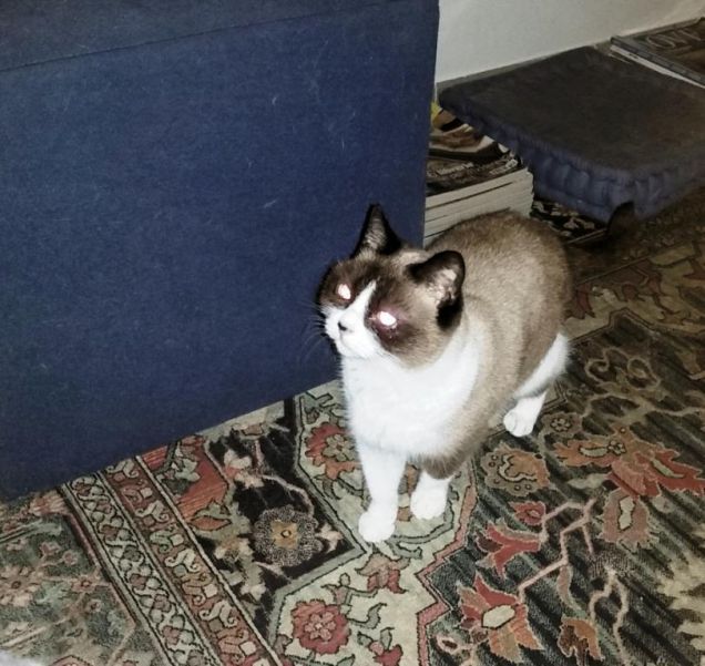 a passeggio in mansarda