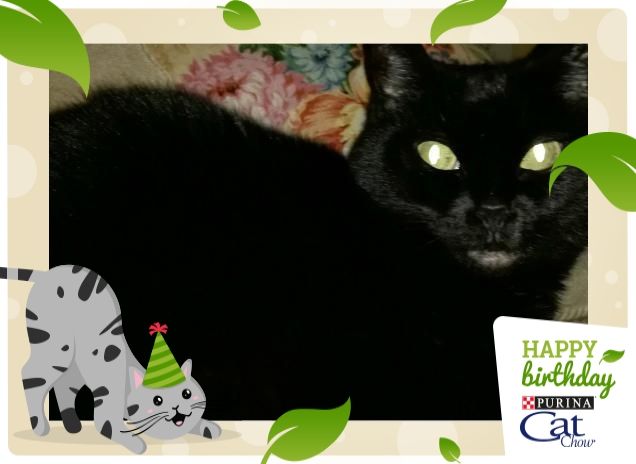 Maffi in attesa di cena