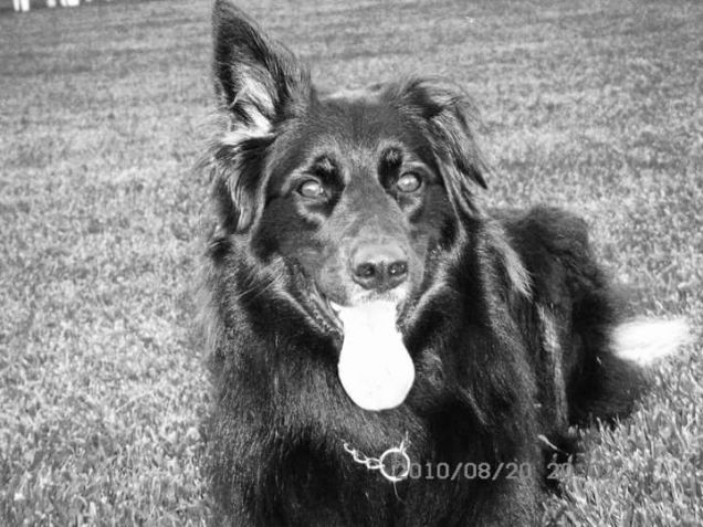 Zara in vacanza a Mantova 