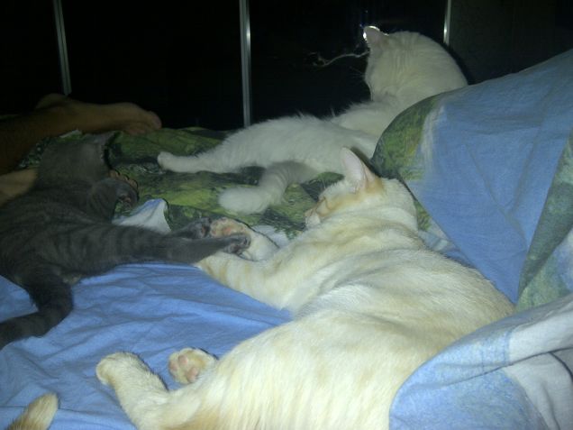 a nanna con i fratellini