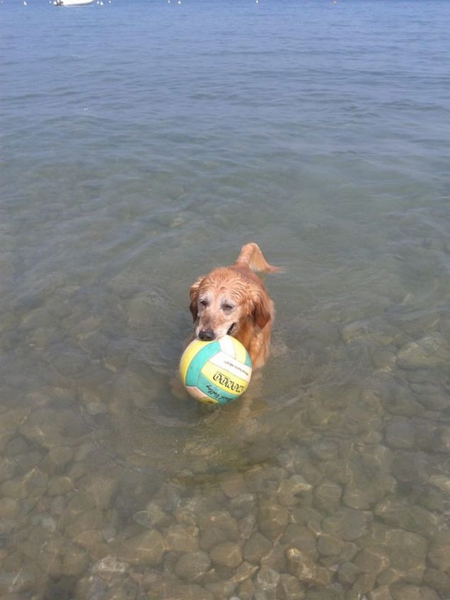 Acqua e palla...le mie passioni!