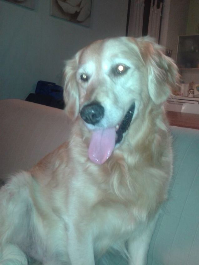 Semplicemente Pluto!