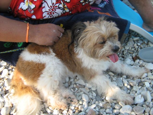 SORBOLE .....CHE CALDO !!!!!!