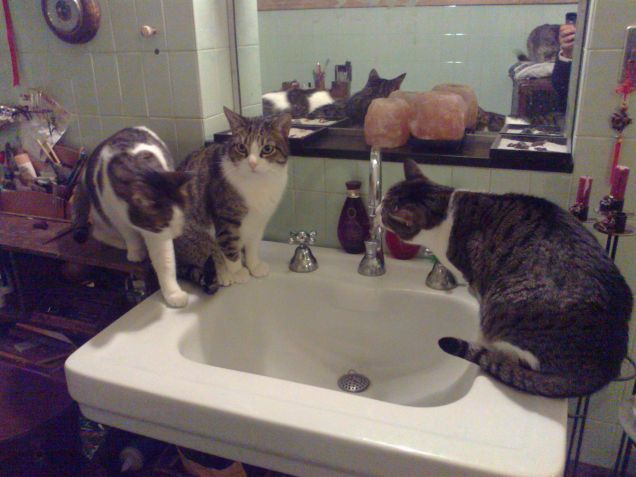 in fila per la doccia